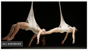 Festival Circorts